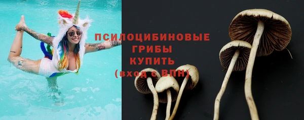 гидропоника Лабытнанги